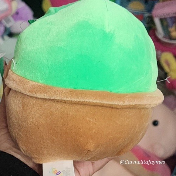 SHADI 🌵Heart Valentines Cactus Original Squishmallow By Kellytoy NWT - Picture 4 of 6